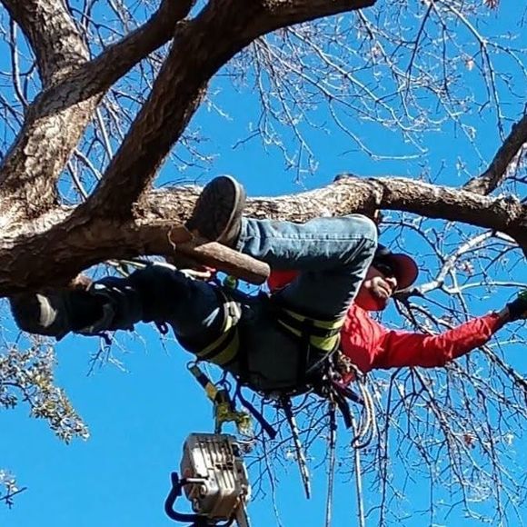 Meet your Posher, Michael - Picture 1 of 1